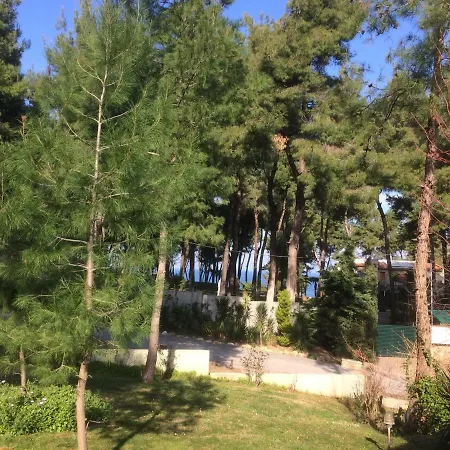 Christina Sani * Sani (Chalkidiki)
